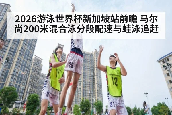 2026游泳世界杯新加坡站前瞻 马尔尚200米混合泳分段配速与蛙泳追赶